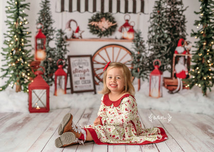 Sleigh Rides For Sale