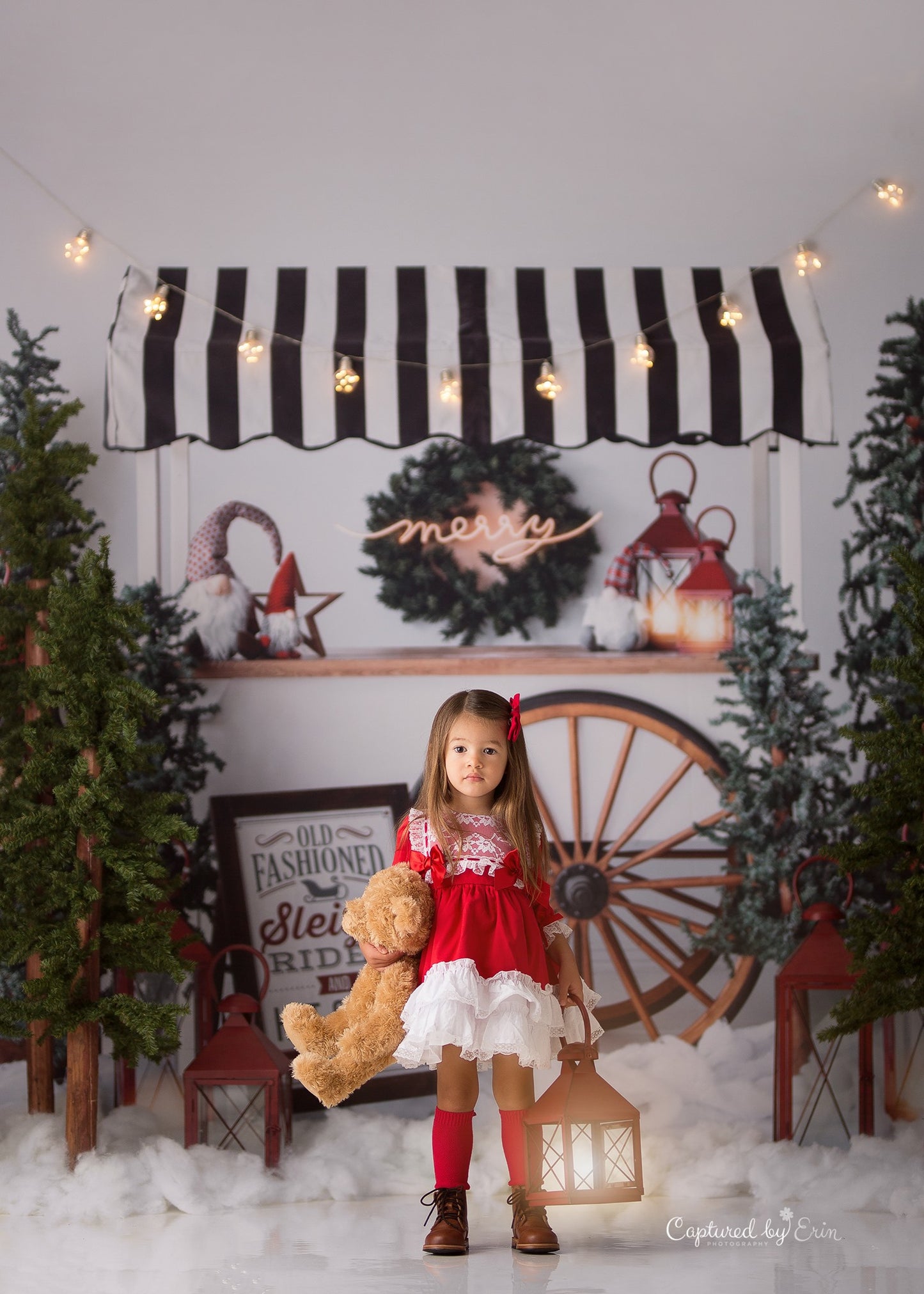 Sleigh Rides For Sale