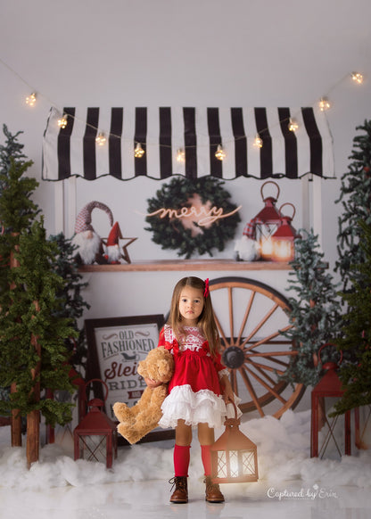 Sleigh Rides For Sale