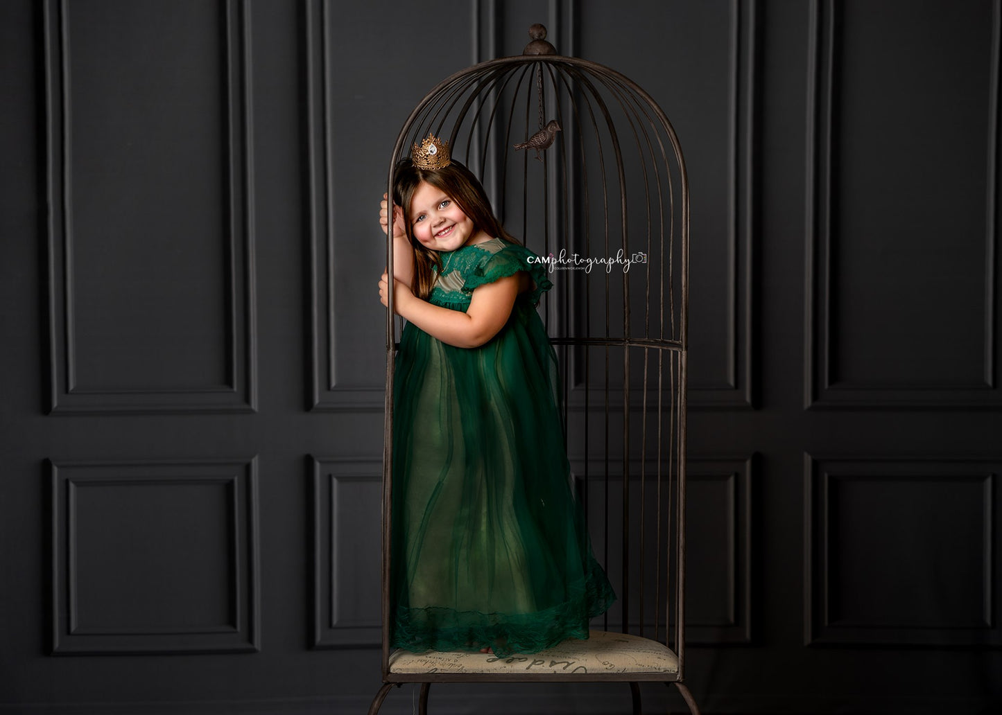 Gray Wainscoting Wall