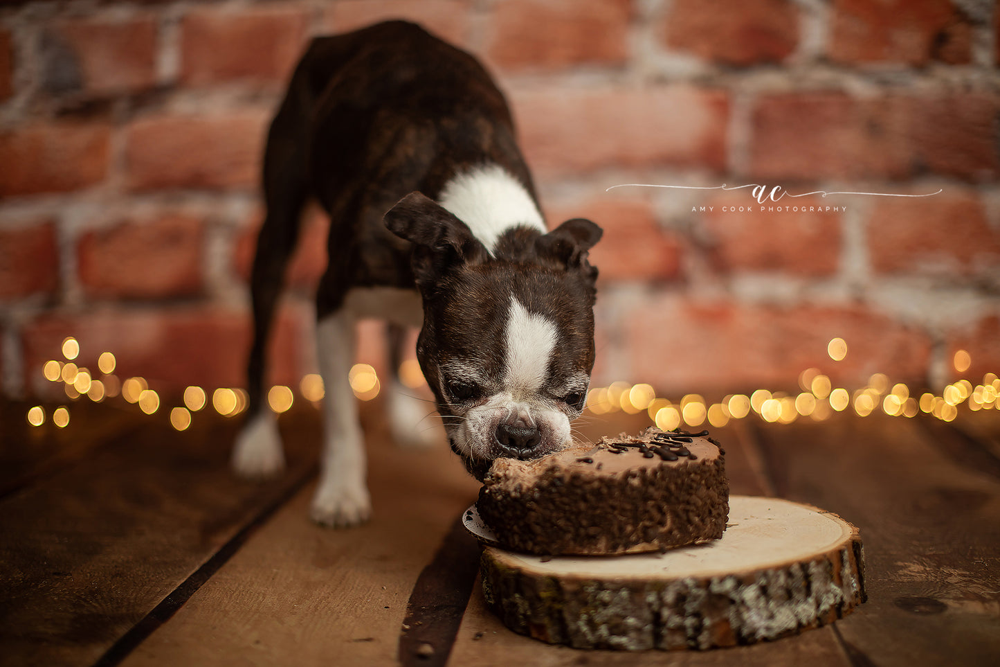 Joplin Vertical Wood Planks Mat Floor