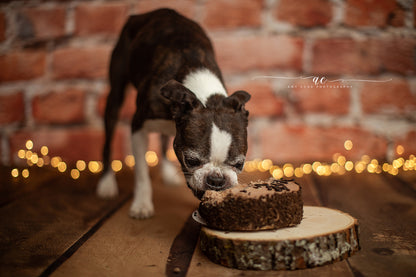 Joplin Vertical Wood Planks Mat Floor