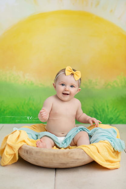 You Are My Sunshine