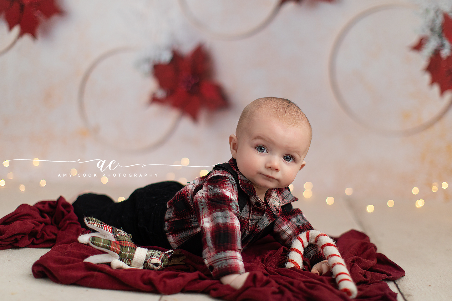 I Hoop You Love Poinsettias