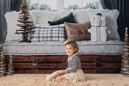 Country Holiday Window