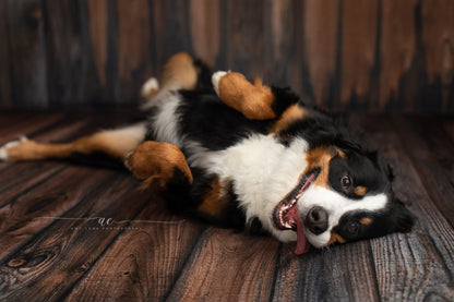 Montana Wood Planks Mat Floor