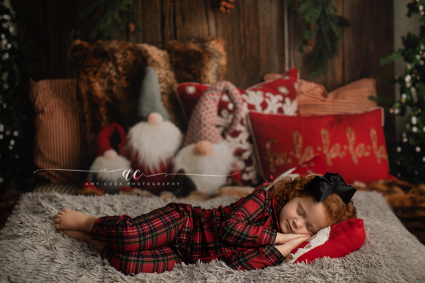 Gnome For The Holidays