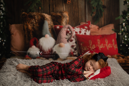 Gnome For The Holidays