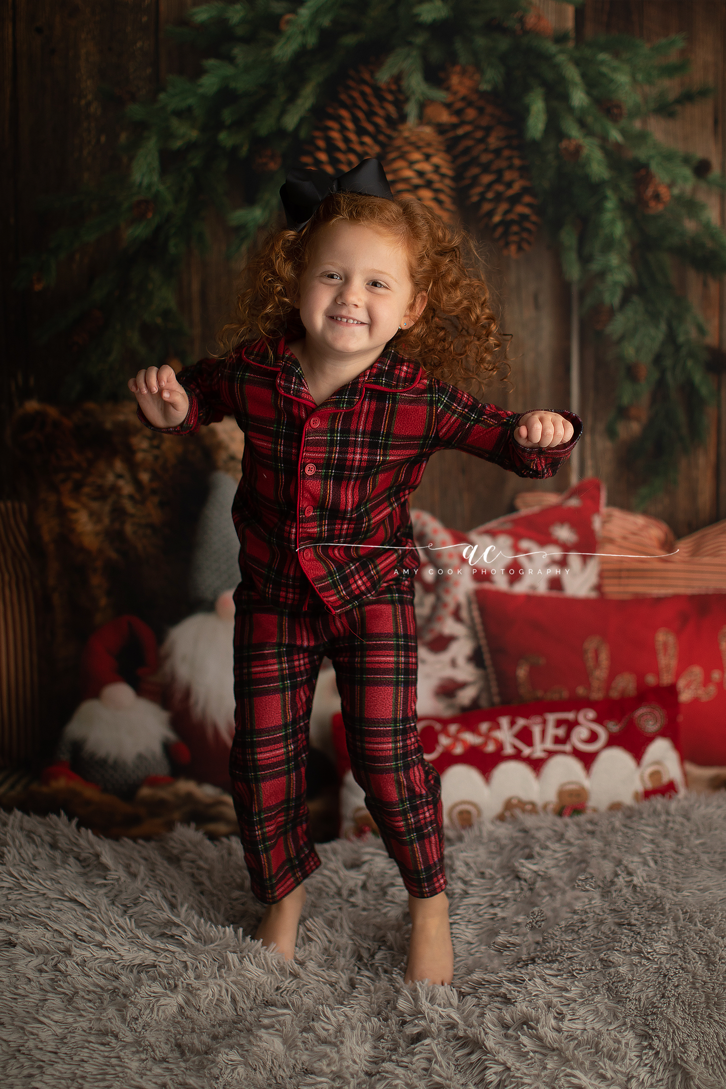 Gnome For The Holidays