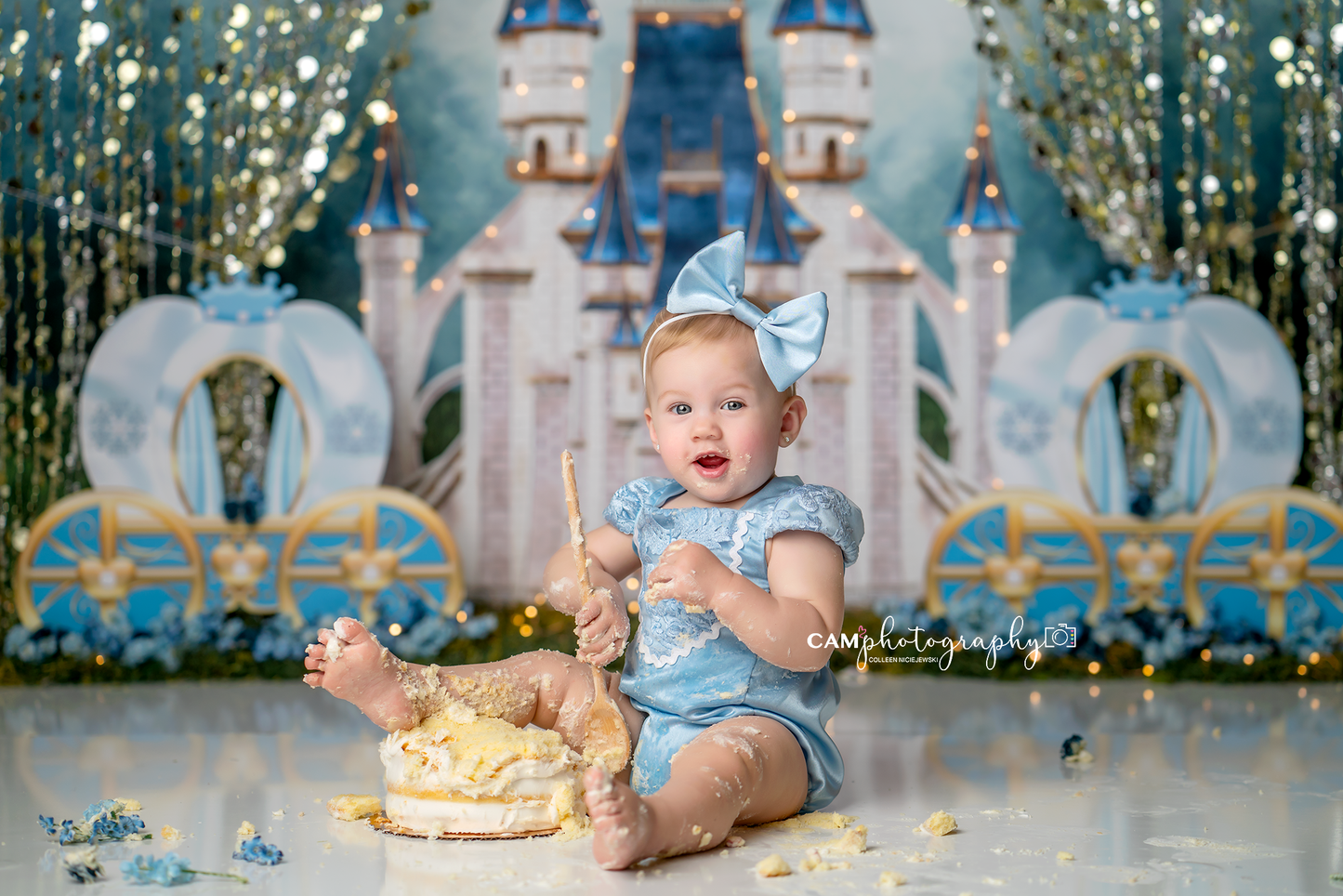 A Dream Is A Wish The Heart Makes