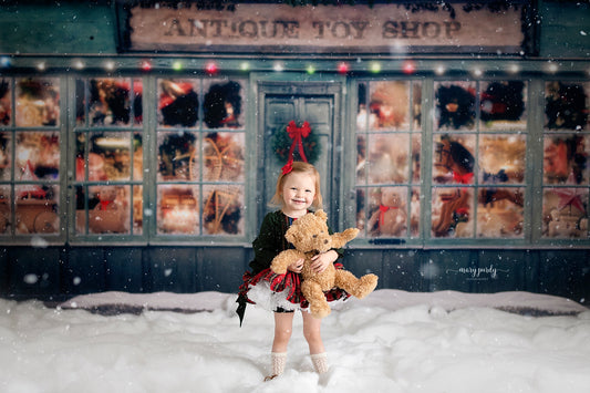 Antique Toy Shop