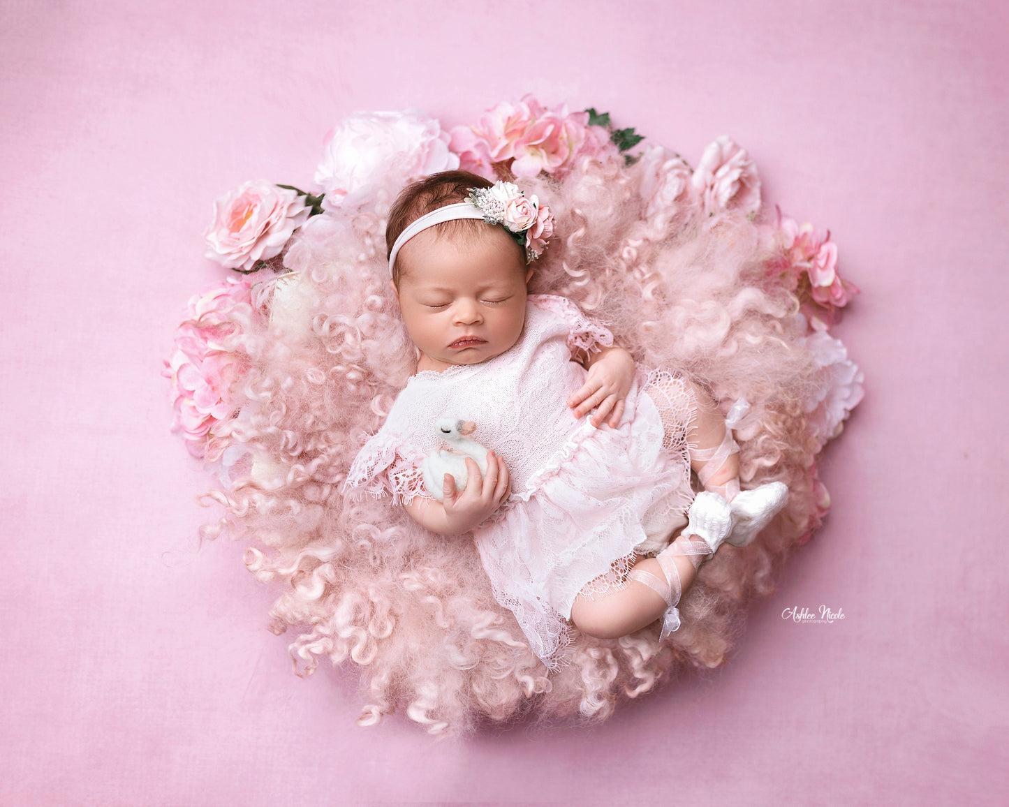 Enchanting Rose Pink - Petite