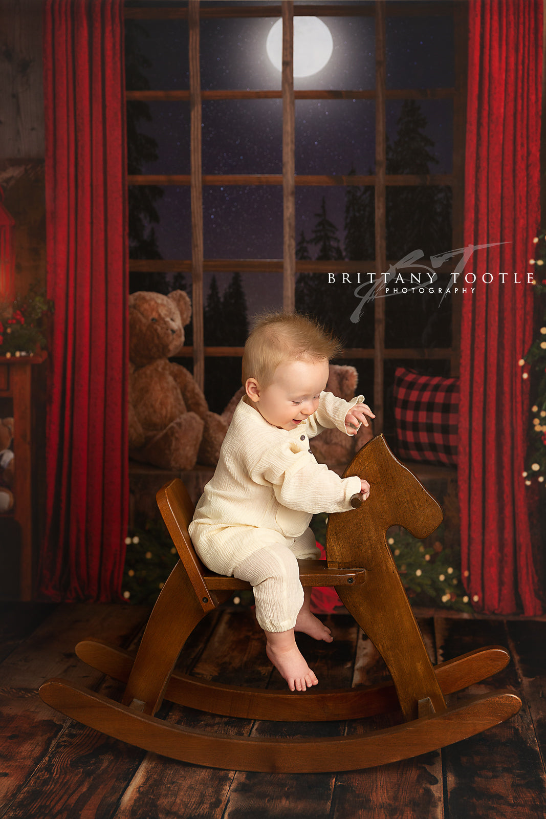 Cozy Beary Christmas View