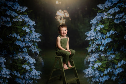 Blue Hydrangea Hideaway