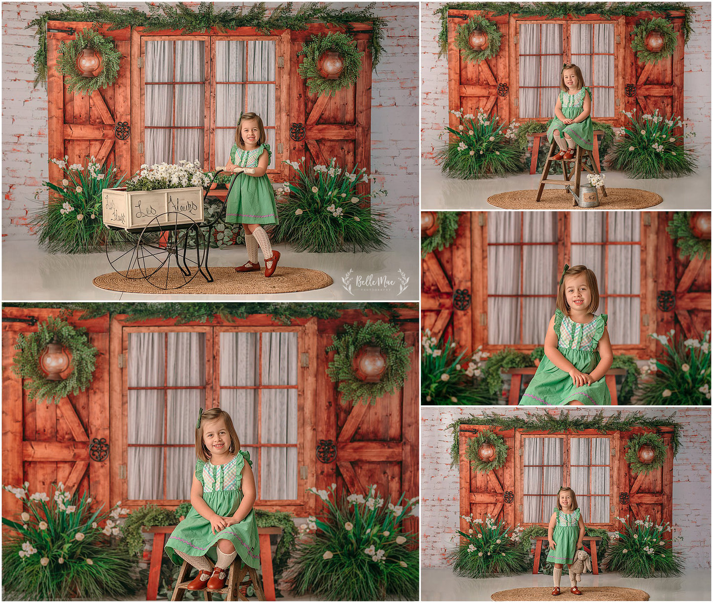 Botanical Fern Window