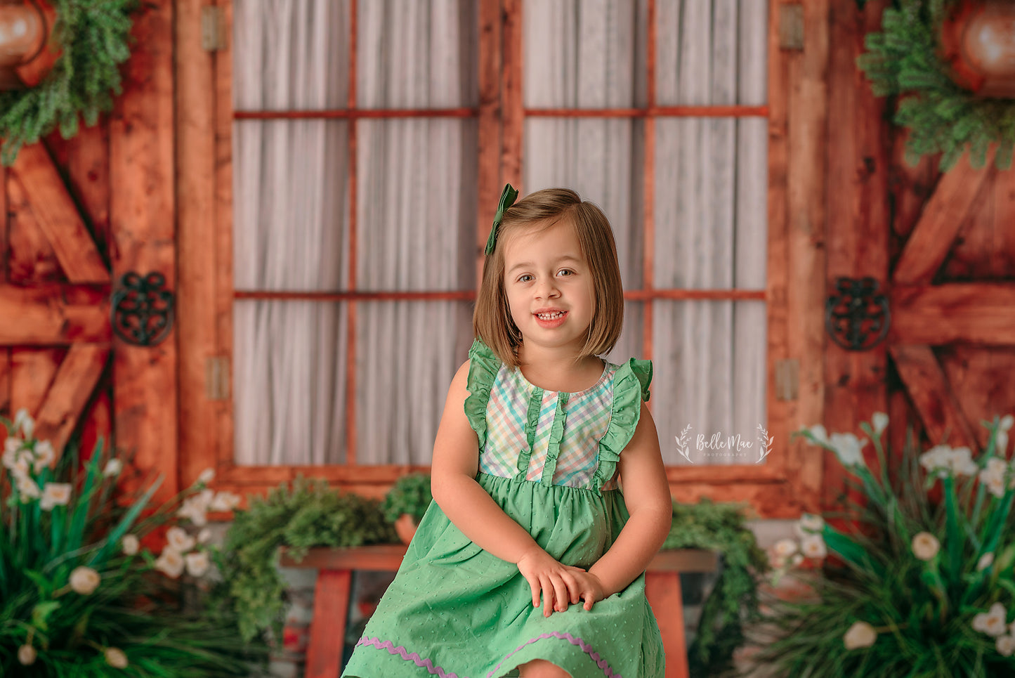 Botanical Fern Window