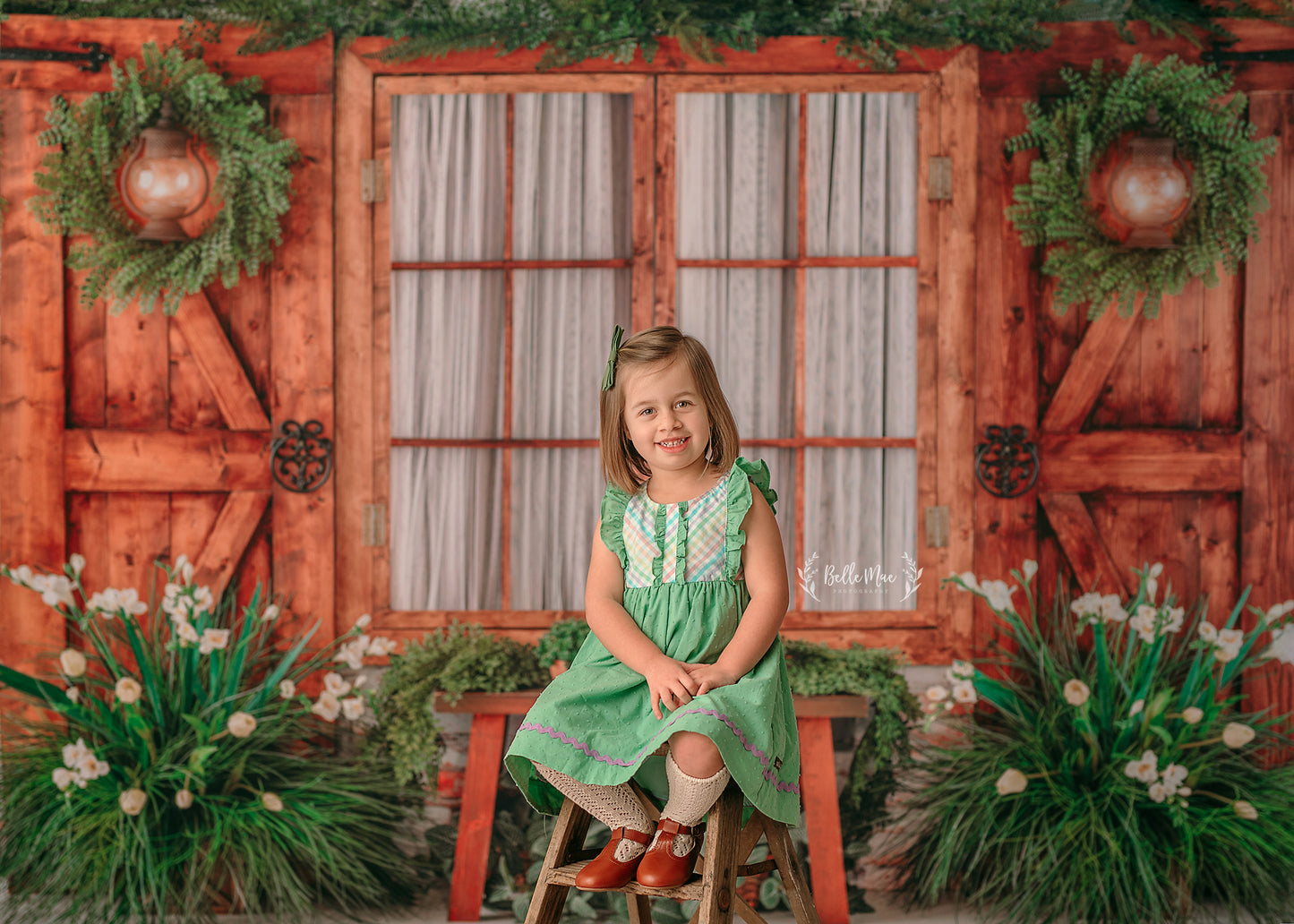 Botanical Fern Window
