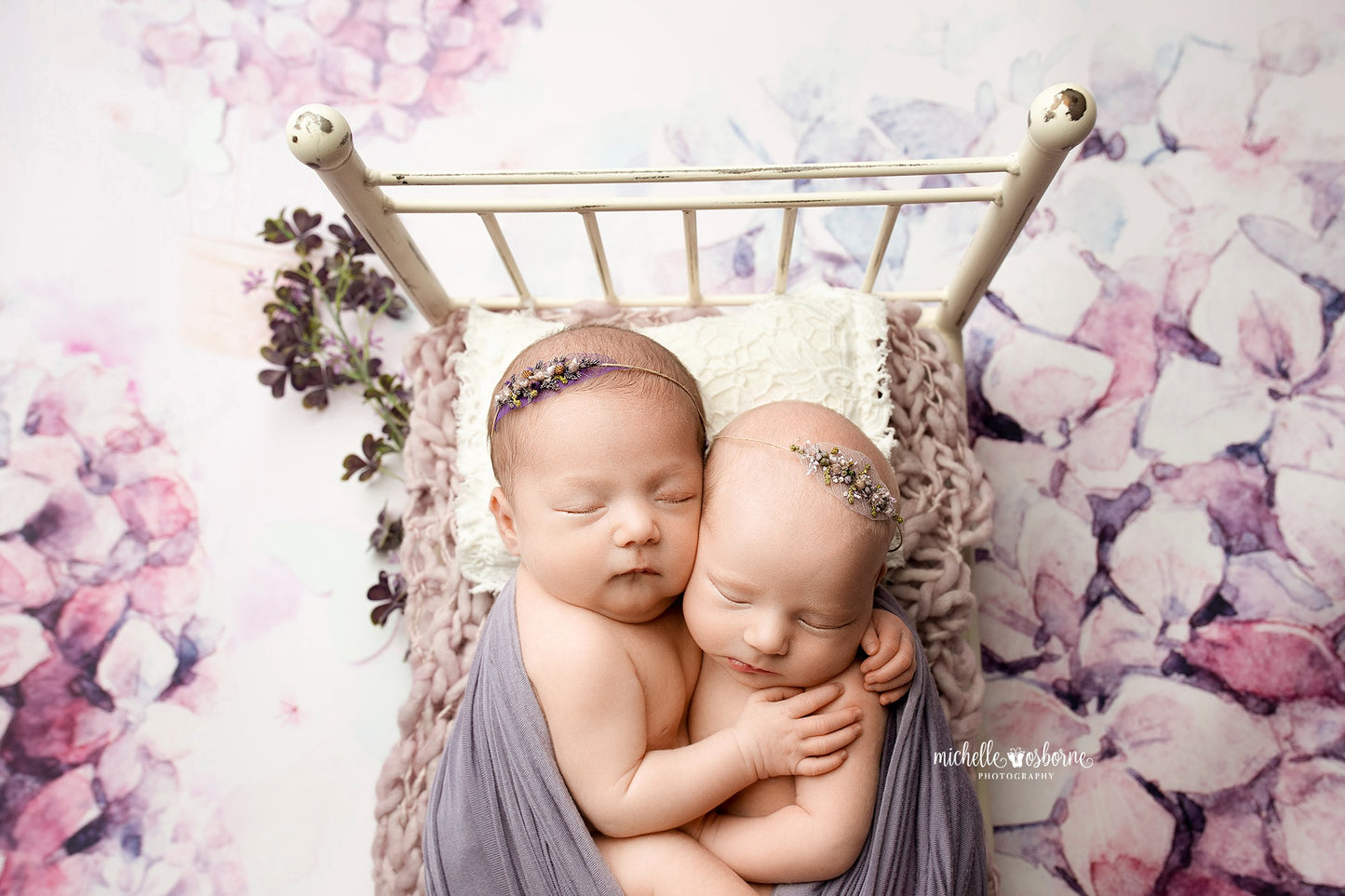 Butterfly Balloon Ride