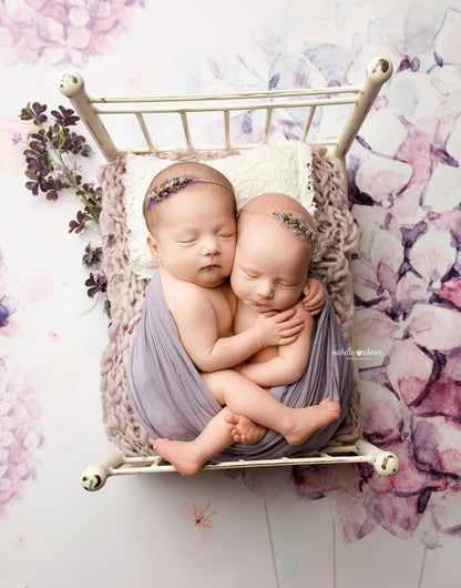 Butterfly Balloon Ride