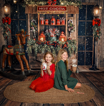 Serene Cocoa Window Room