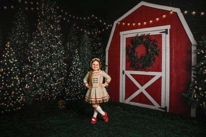 Christmas At The Barn