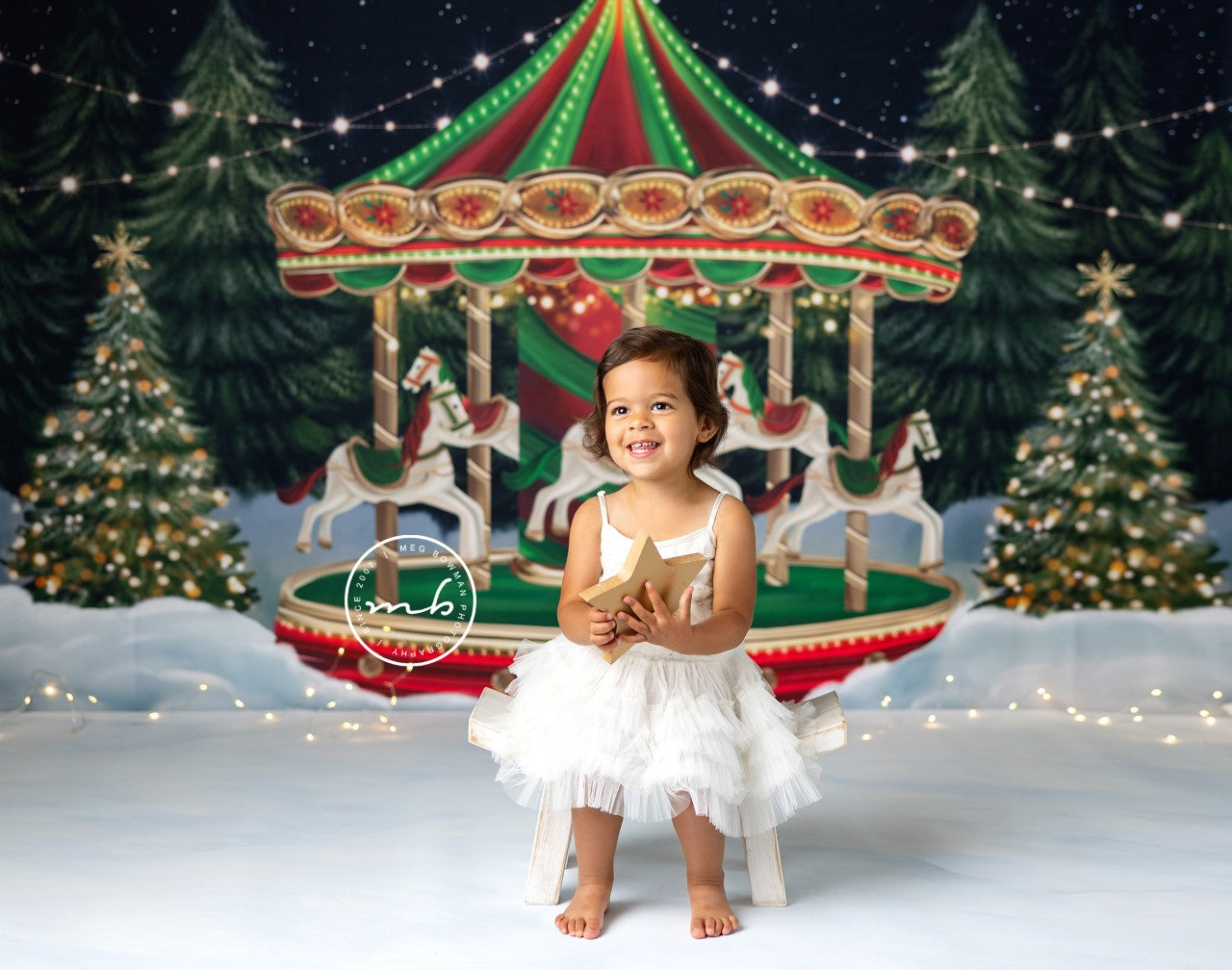 Christmas Carousel Rides