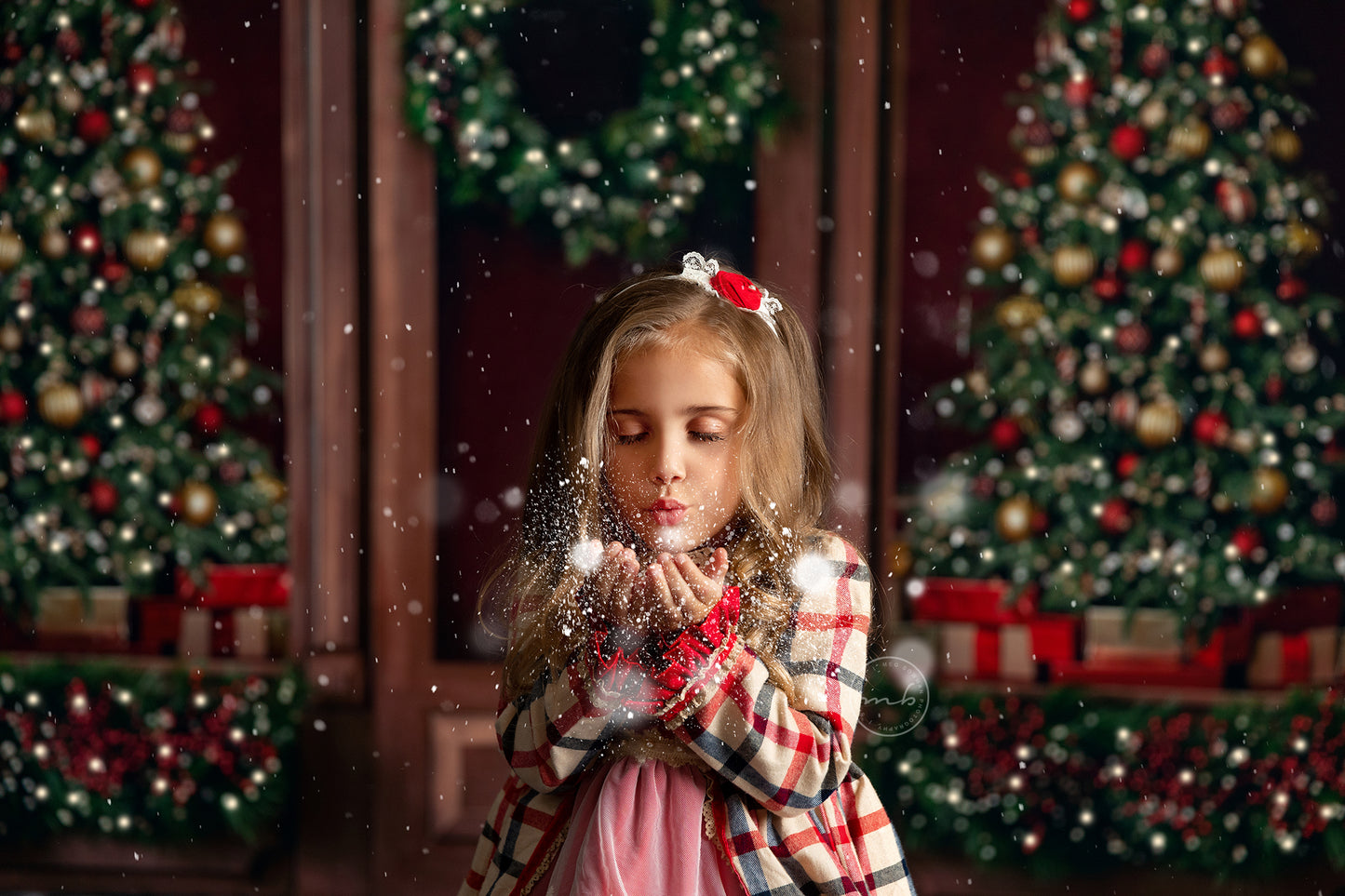 Christmas Tree Store