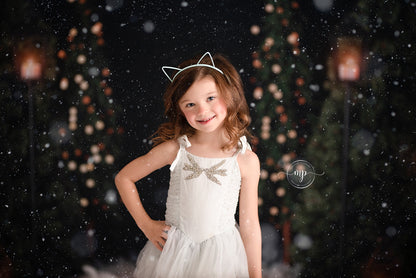 Merry Cabin 2pc Mini Room