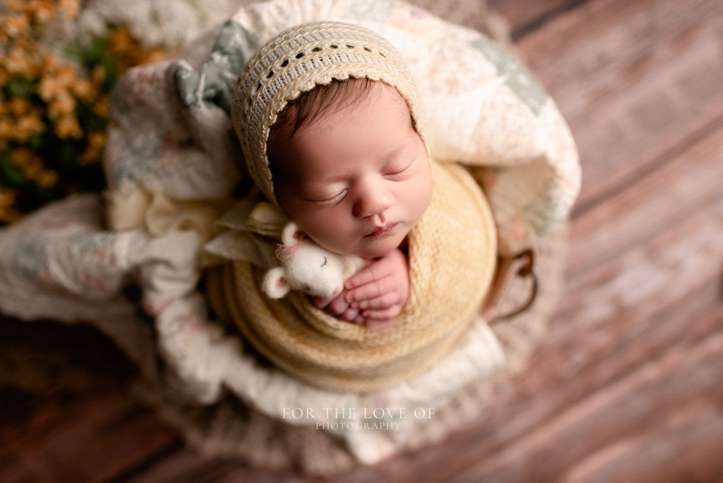 Homestead Wood Planks