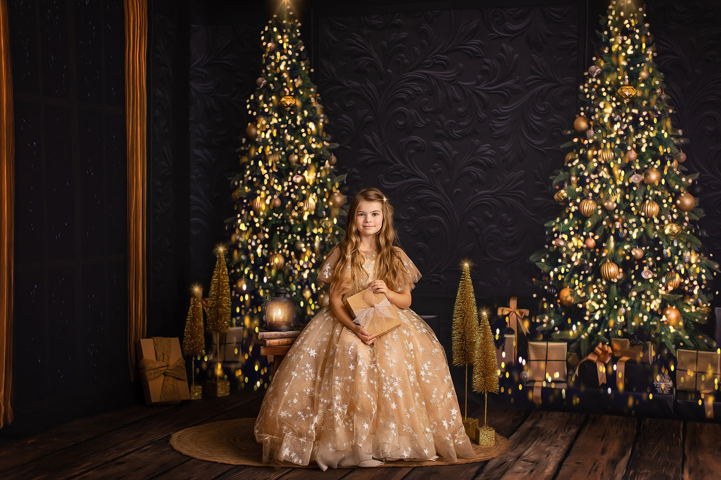 Elegant Moody Christmas 2pc Room