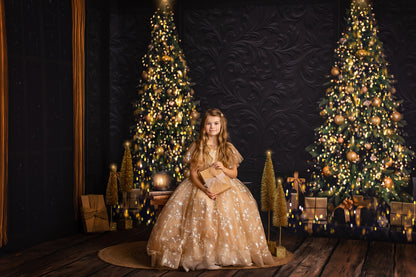 Elegant Moody Christmas 2pc Room