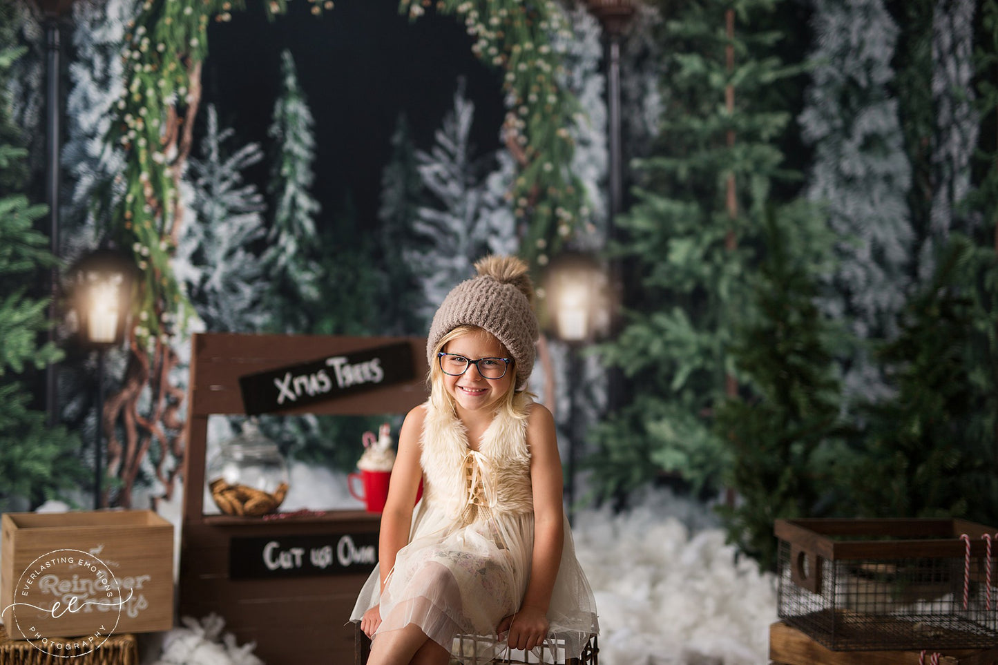 Evening Tree Farm Stroll