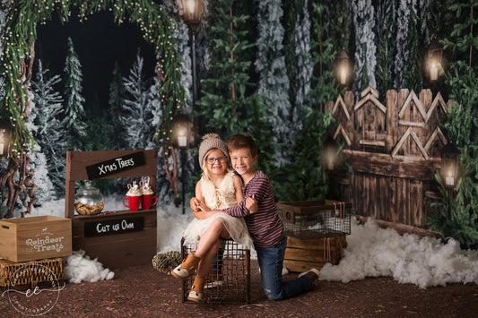 Evening Tree Farm Stroll