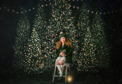 Christmas At The Barn Room