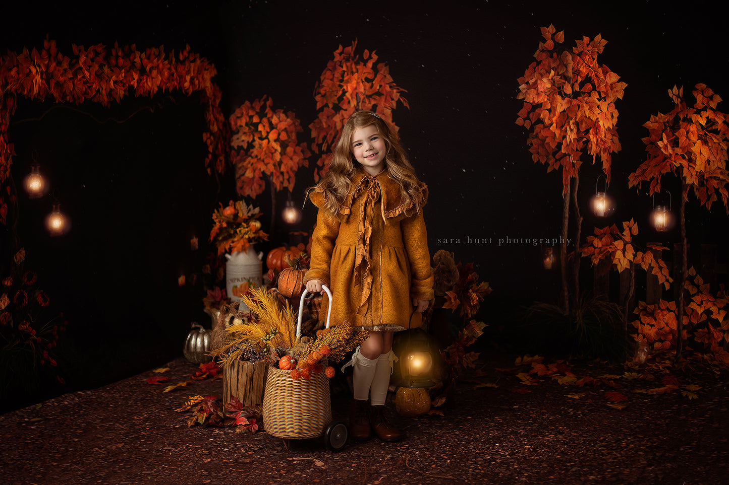 Fall Evening Park Room