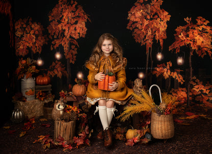 Fall Evening Park Room