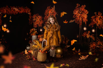 Fall Evening Park Mini Room