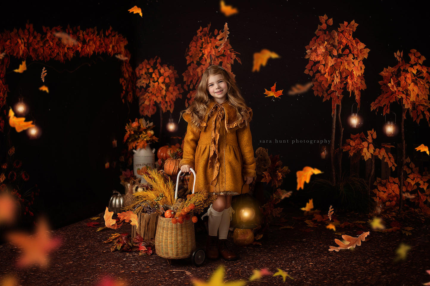 Fall Evening Park Room