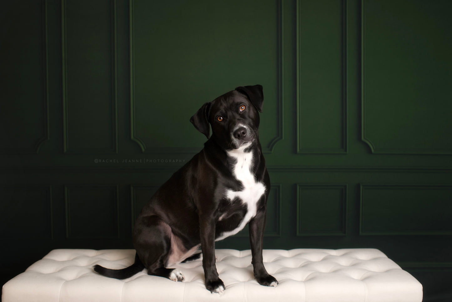 Green Wainscoting Wall