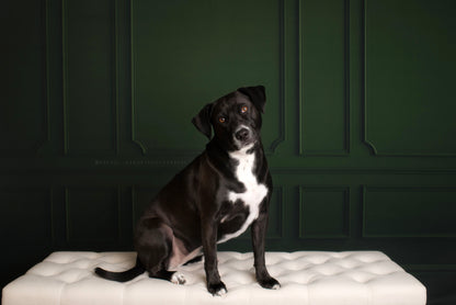 Green Wainscoting Wall