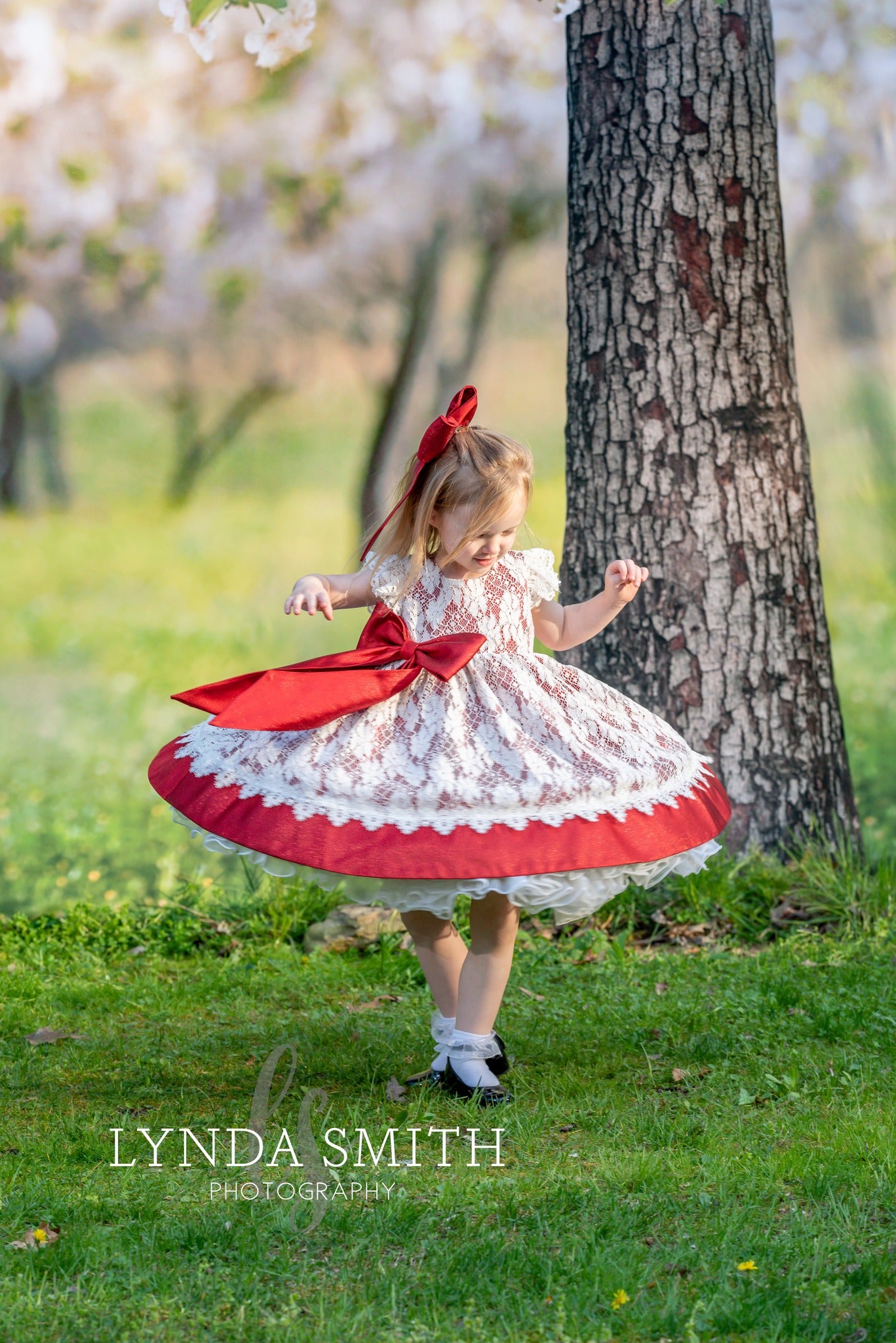 Flowering Forest Trees