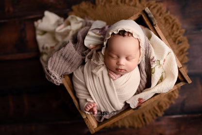 Galway Wood Planks - Petite