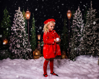 Evening Snowy Holiday Park 2pc Room