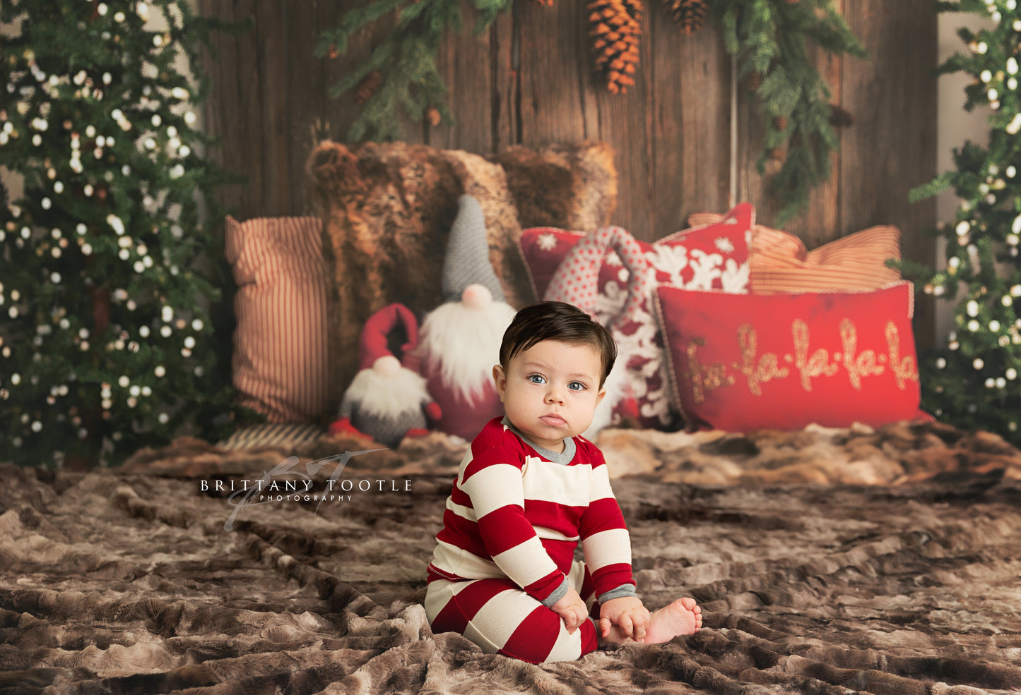 Gnome For The Holidays