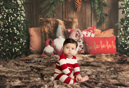 Gnome For The Holidays