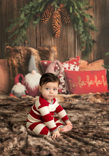 Gnome For The Holidays