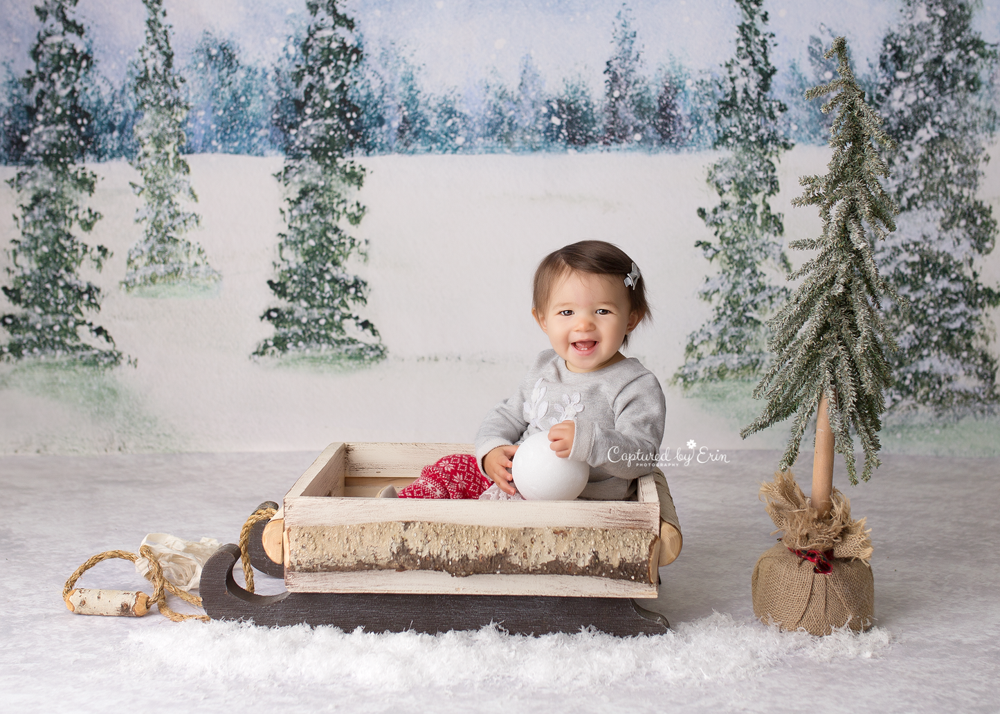 Winter Snow Mat Floor