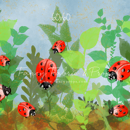Lady Lovebugs