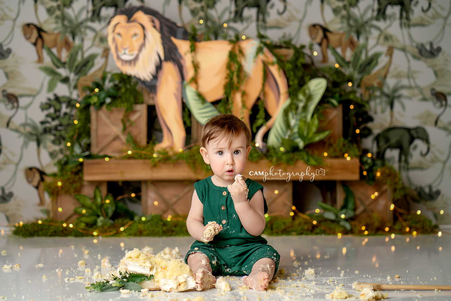 Lion's Den