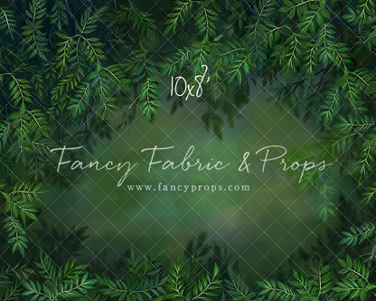Lush Forest